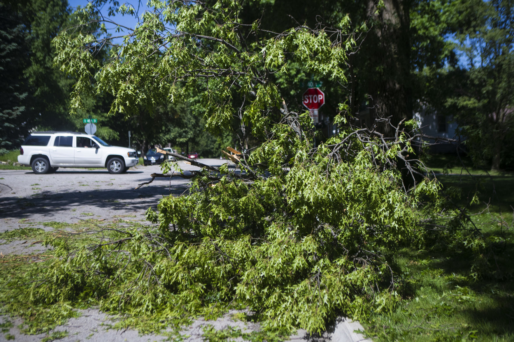 Storm Damage